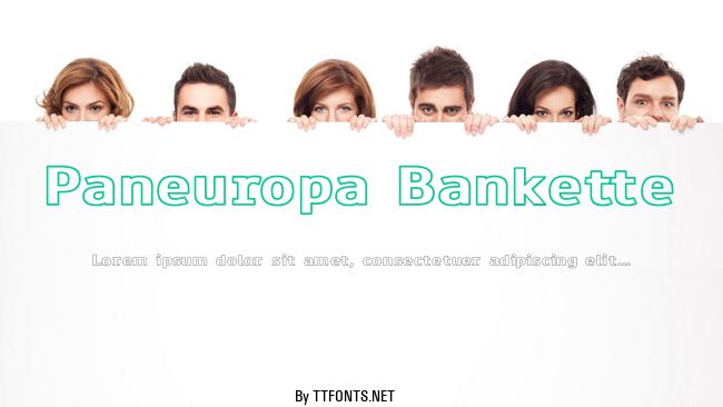 Paneuropa Bankette example
